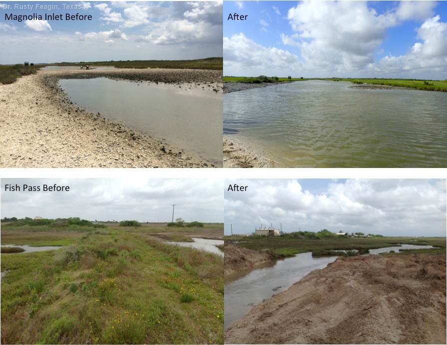 Photos showing Magnolia Inlet and Fish Pass before and after the Texas A&M AgriLife Research team's restoration work. 